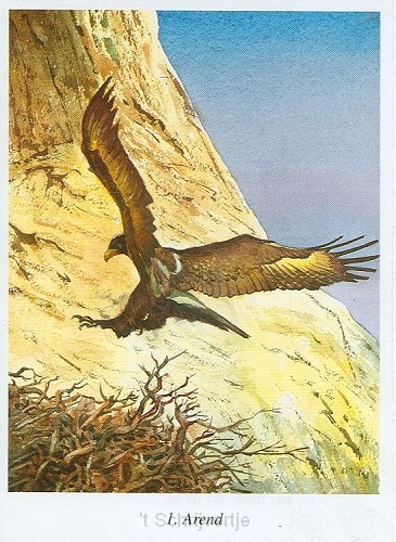 Bijbelse geschiedenis C plaatjes