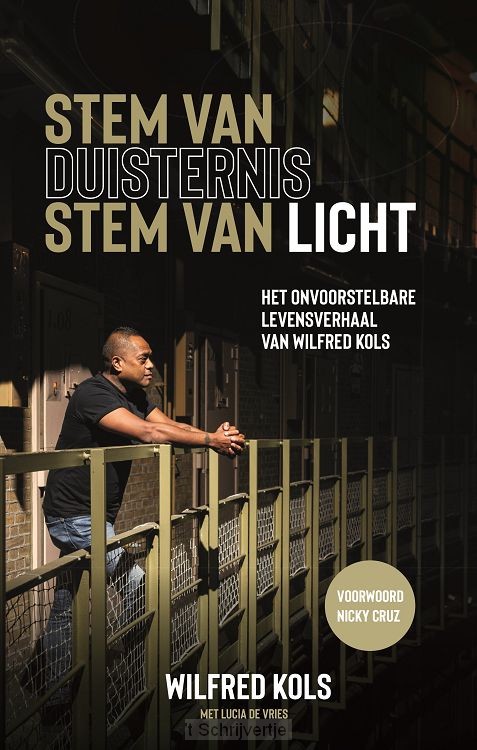 Stem van duisternis