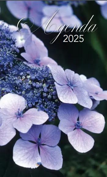 Zak-agenda Hortensia