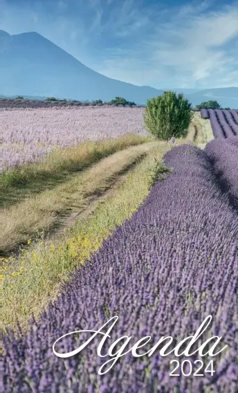 Zak-agenda Landschap