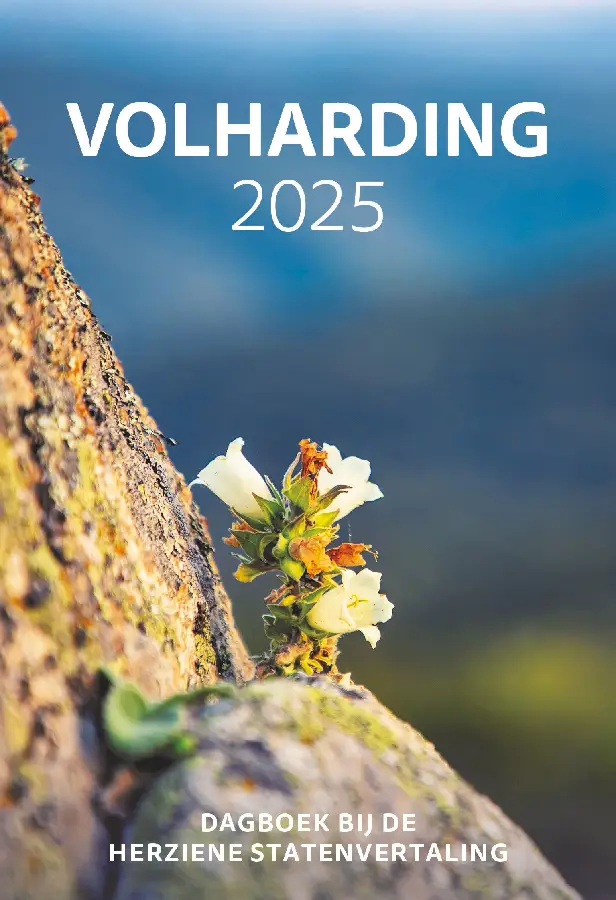 Volharding 2025