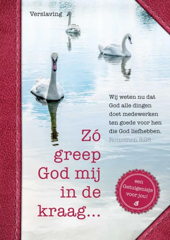 Zó greep God mij in de kraag