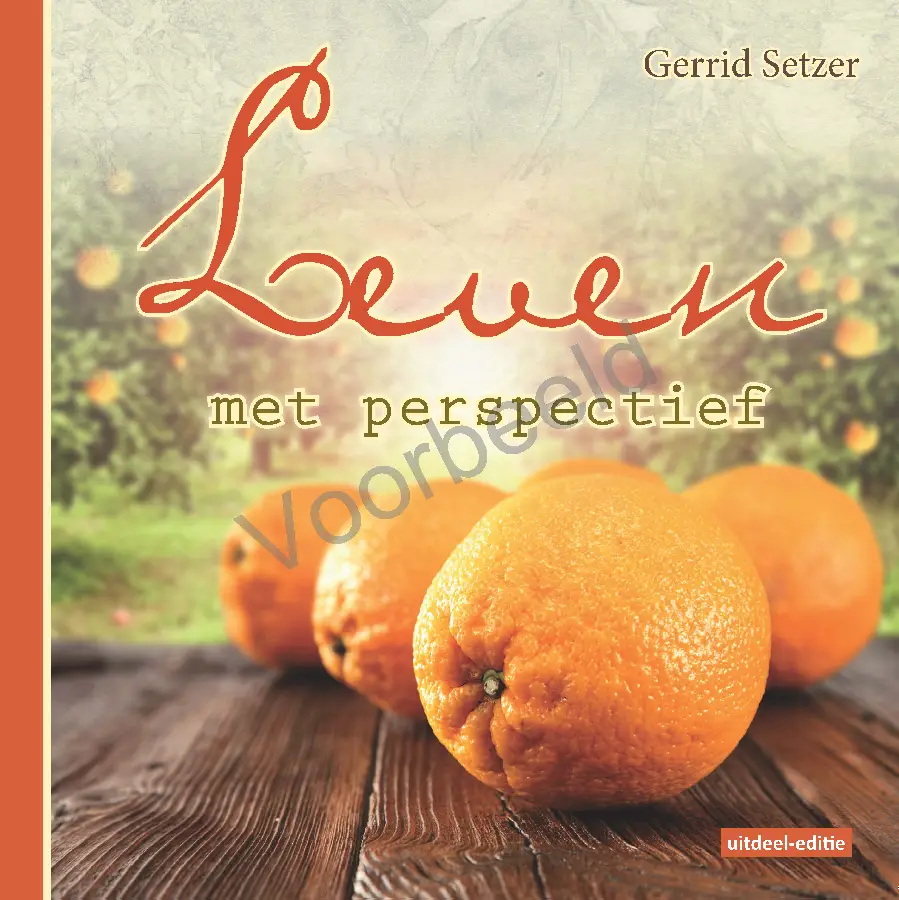 Leven mer perspectief