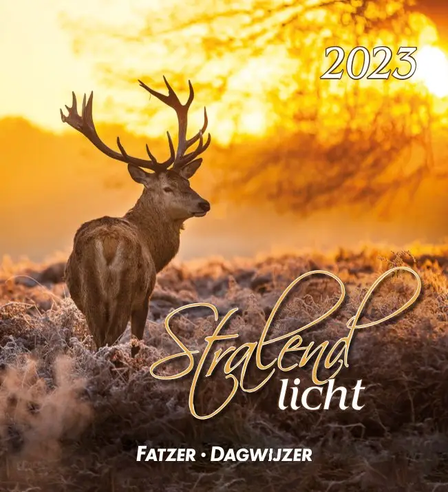Kalender 2024 hsv stralend licht