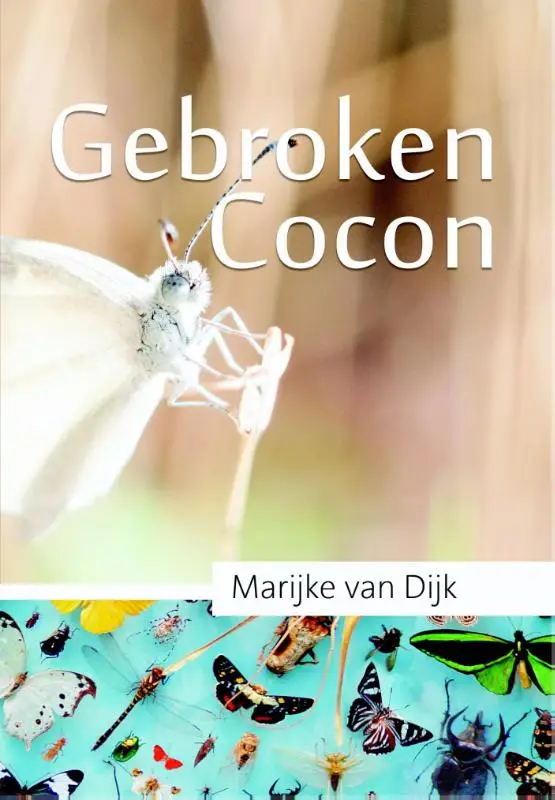 Gebroken cocon