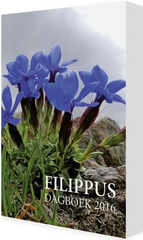 Filippus dagboek 2016