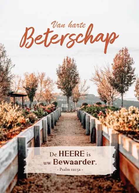 Beterschap