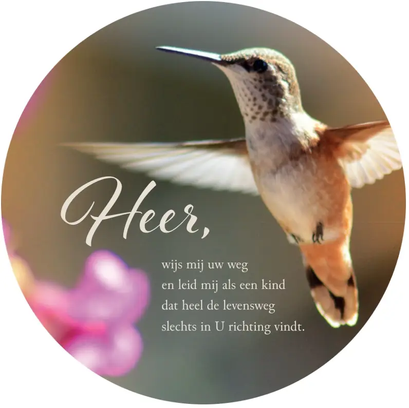 Muurcirkel Heer wijs mij uw weg