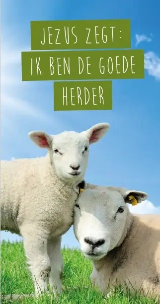 Magneetboekenlegger De goede Herder