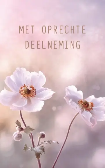 Map Rouw 4 kaarten met enveloppe