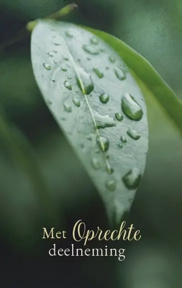 Map Rouw 4 kaarten met enveloppe