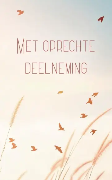 Map Rouw 4 kaarten met enveloppe