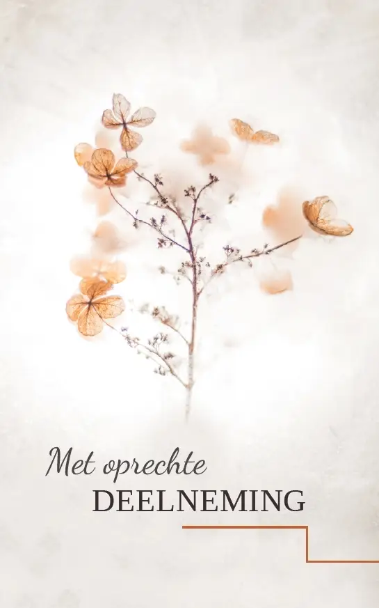 Map Rouw 4 kaarten met enveloppe