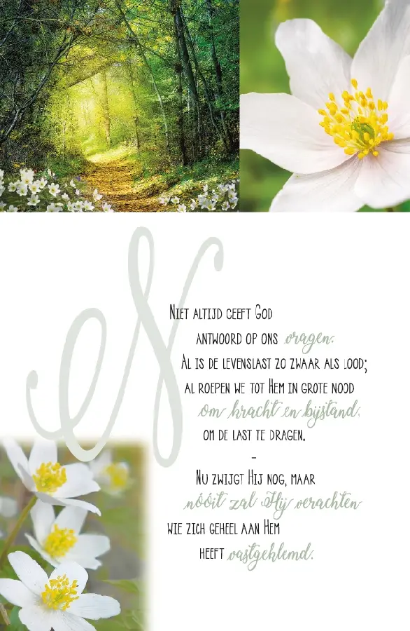 Wenskaart tevergeefs verwacht