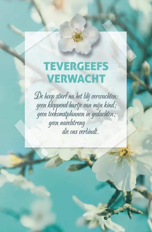 Miskraam/verlies kindje