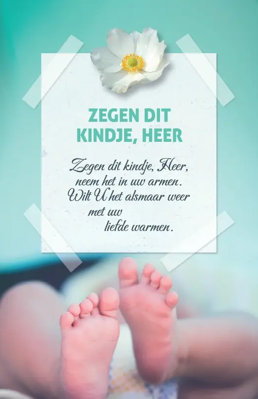 Geboorte/Doop/Opdragen