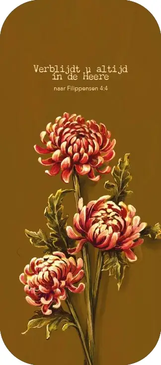 Boekenlegger Verblijdt u altijd