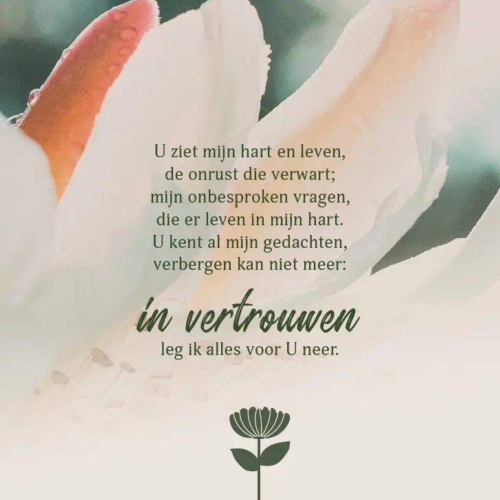 Enkele Kaart Genade en vrede