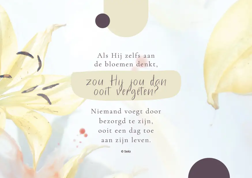 Enkele Kaart Als Hij zelfs aan