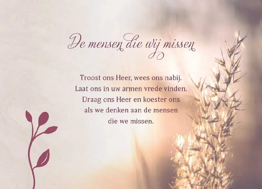 Enkele Kaart Schijn in onze nacht