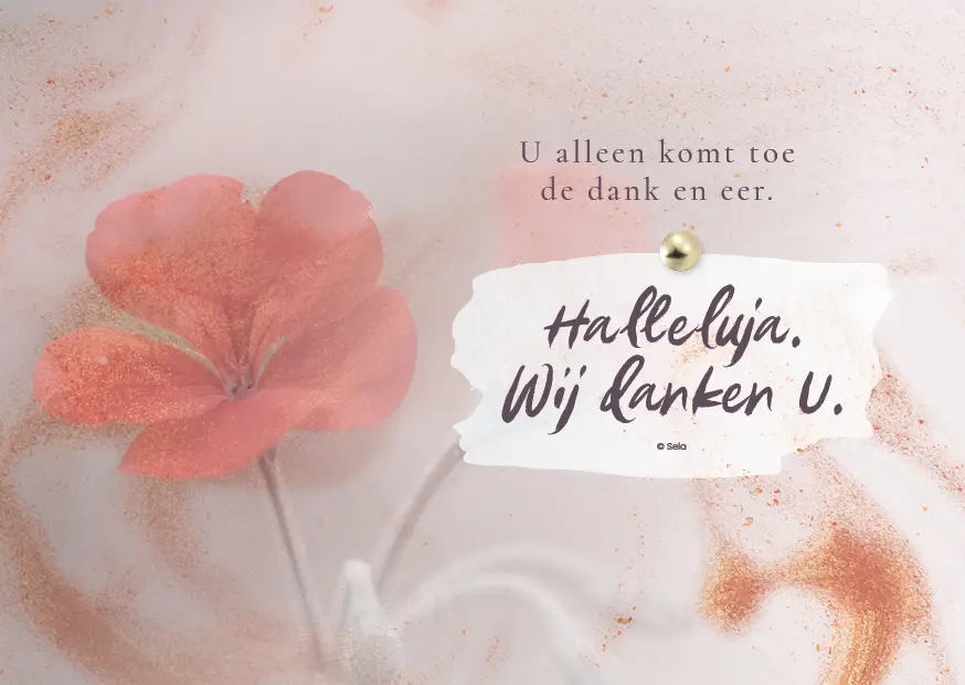 Enkele Kaart Wij danken U