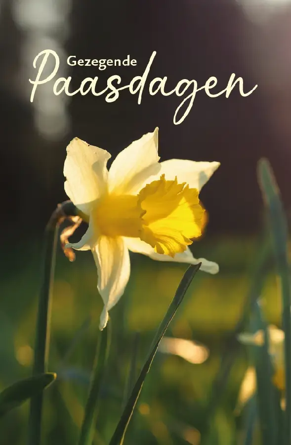 Wenskaart Gezegende Paasdagen