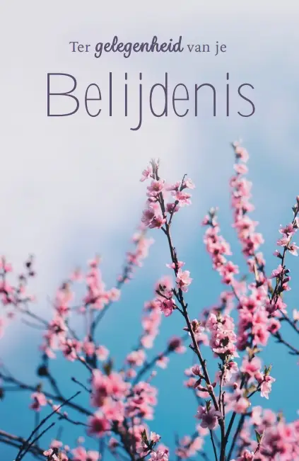 Wenskaart Ter Gelegenheid Je Belijdenis