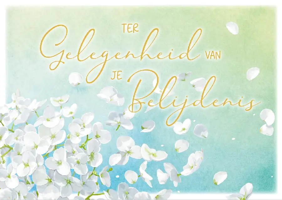 Prentbriefkaart T.Gelegenheid Belijdenis