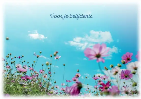 Prentbriefkaart Voor je Belijdenis