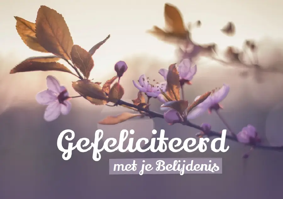 Prentbriefkaart Gefeliciteerd Belijdenis