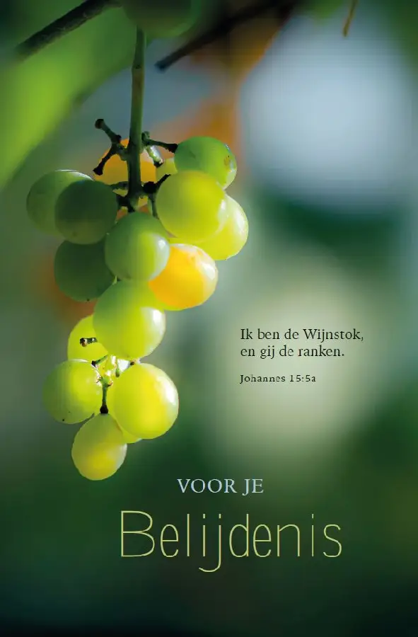 Wenskaart Voor je Belijdenis