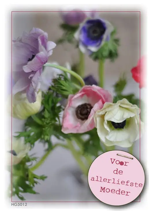 Voor de allerliefste moeder