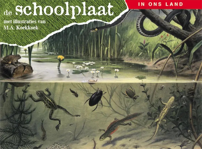 De schoolplaat- in ons land