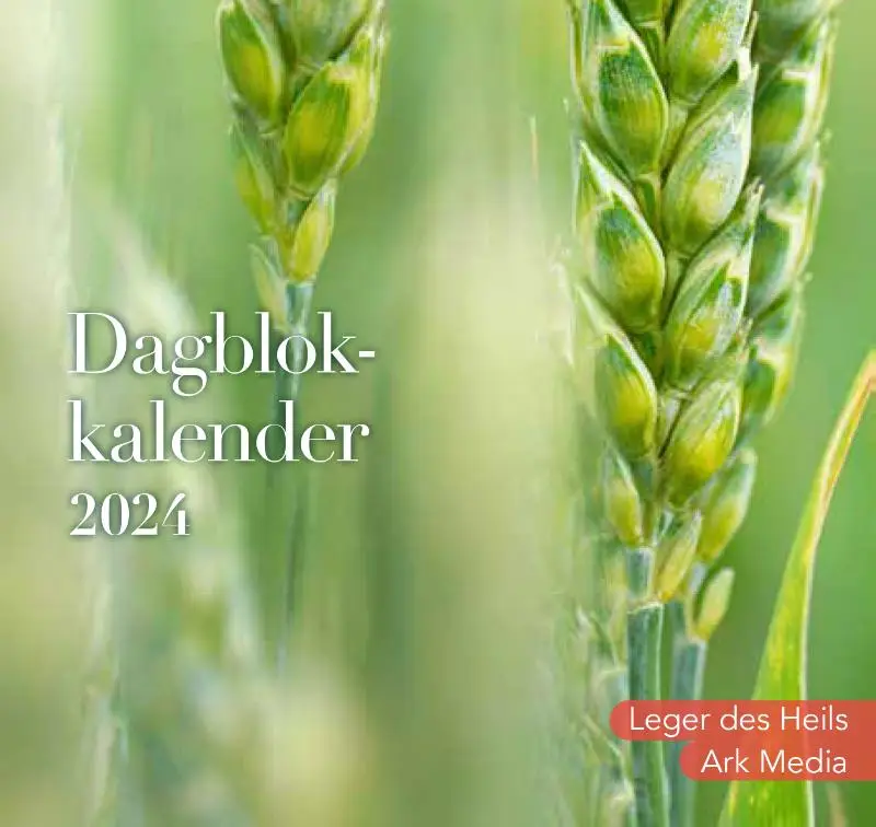 Dag in dag uit 2024 Scheurkalender