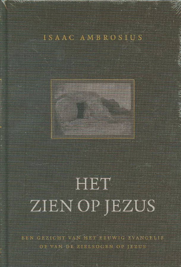 Zien op Jezus