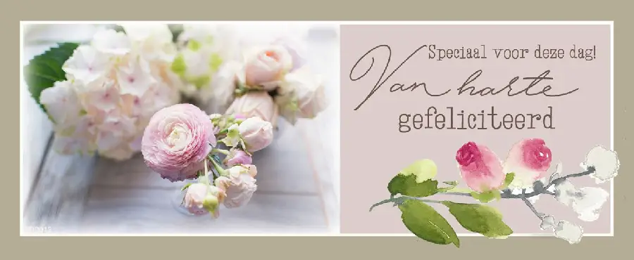 Van harte gefeliciteerd