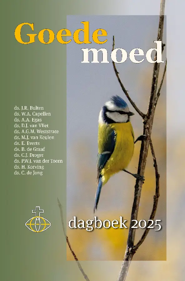 Goede moed 2025 STANDAARD