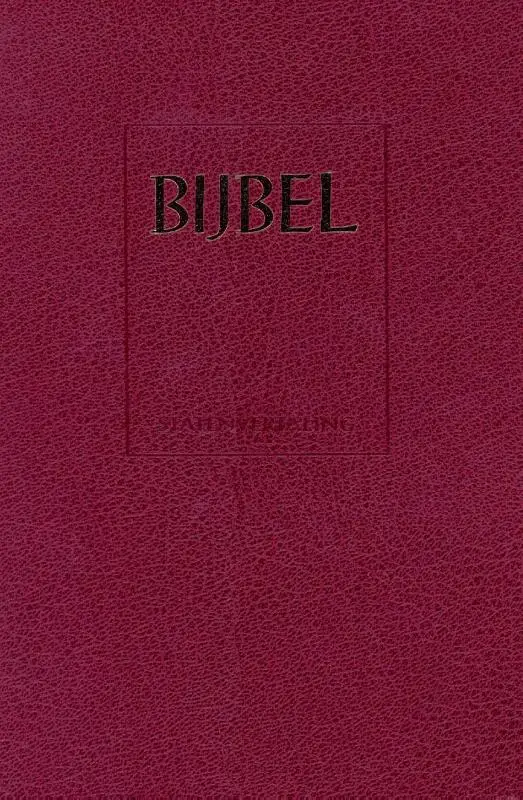 Bijbel STV 10,5x16,5 Hand/schoolbijbel r