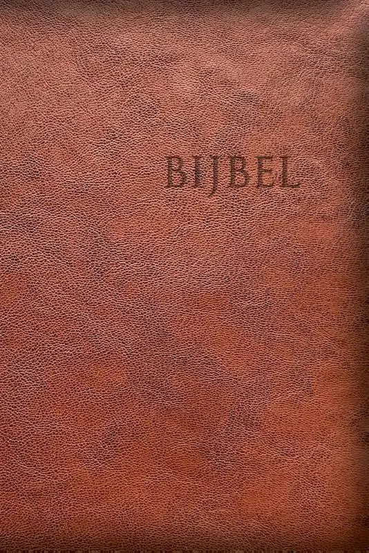 Bijbel HSV Edge Lined - bruin
