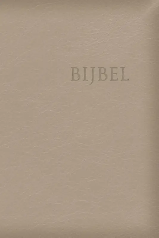 Bijbel HSV Edge Lined - champagne