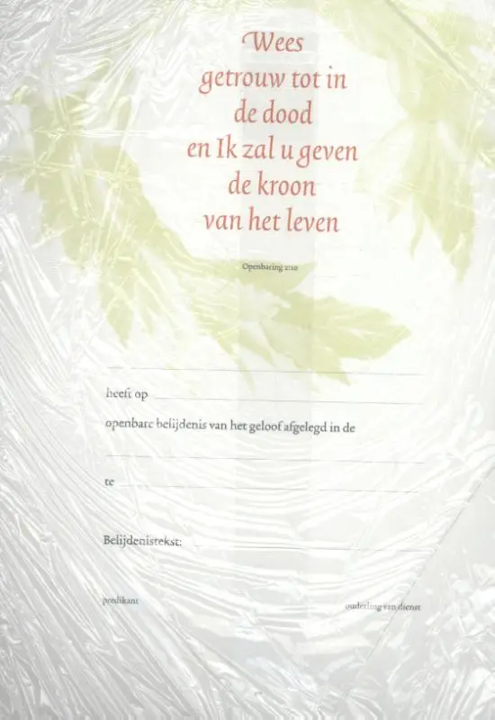 Belijdeniskaart 301 set 10